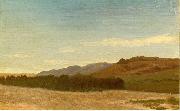 Albert Bierstadt The_Plains_Near_Fort_Laramie oil painting on canvas
